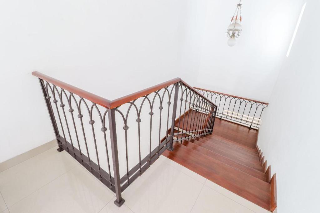 Palem Kipas * Yogyakarta